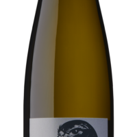 The Falcon Riesling 2023 – 6 Pack